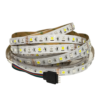 Taśma LED RGB + neutralny IP20 rolka 5m