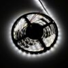 Taśma LED PREMIUM neutralna 4000K 5m IP20 12W/m PL - obrazek 2