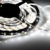 Taśma LED PREMIUM neutralna 4000K 5m IP20 12W/m PL