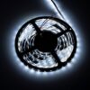 Taśma LED PREMIUM zimna 6000K 5m IP20 12W/m PL - obrazek 2