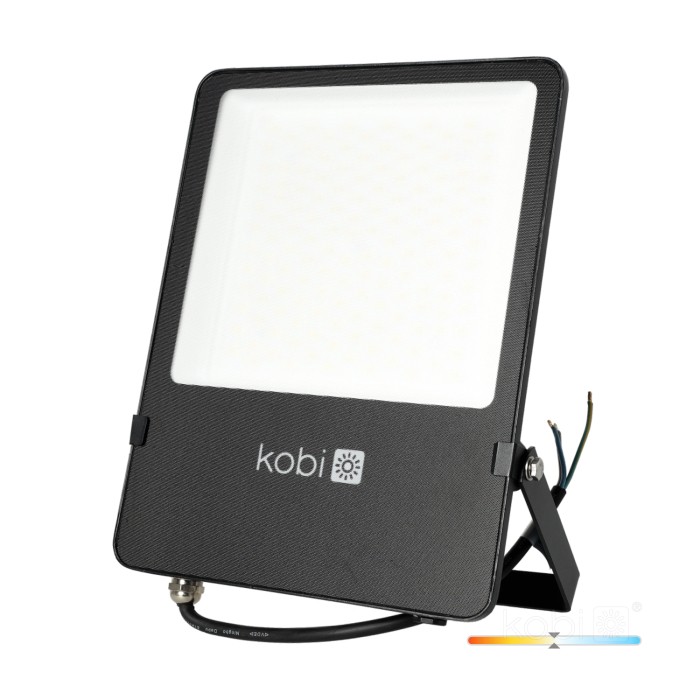 Naświetlacz LED SEUL 100W